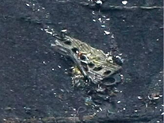 Second black box reveals plane...